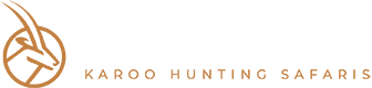 High Dawn Logo